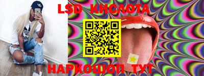 прущие крисы Гатчина