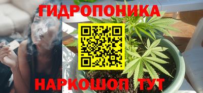 прущие крисы Гатчина