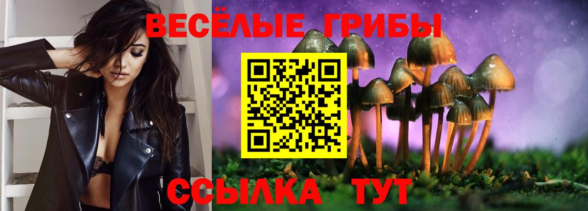 Псилоцибиновые грибы GOLDEN TEACHER  Вход с VPN  Новороссийск  Галлюциногенные грибы прущие грибы 